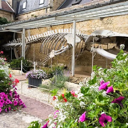 L'escapade - Les Pieds Dans L'eau A Luc Apartamento *