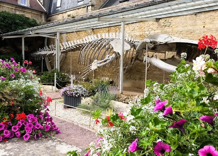 L'escapade - Les Pieds Dans L'eau A Luc Apartamento *